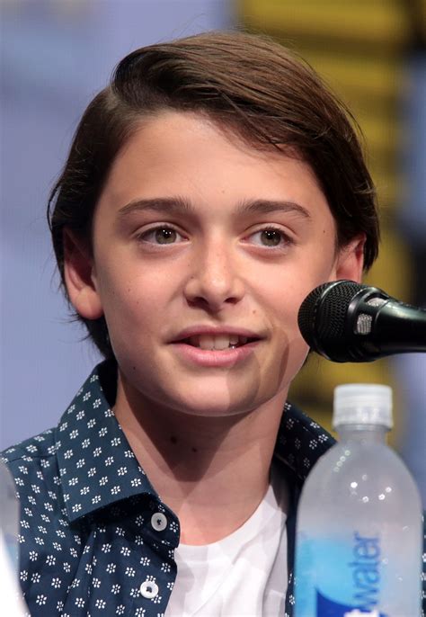 noah schnapp wiki.